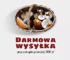 Darmowa wysyłka